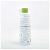 Kishima KNT88088 Tea and Green Size: Approx. 0.2 inches (4.5