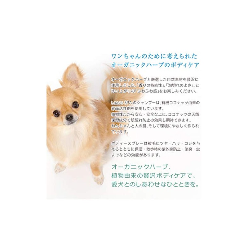 Apple Lily Dog Shampoo 150ml Vegetable Hypoallergenic Natural Pigments Moisturizing