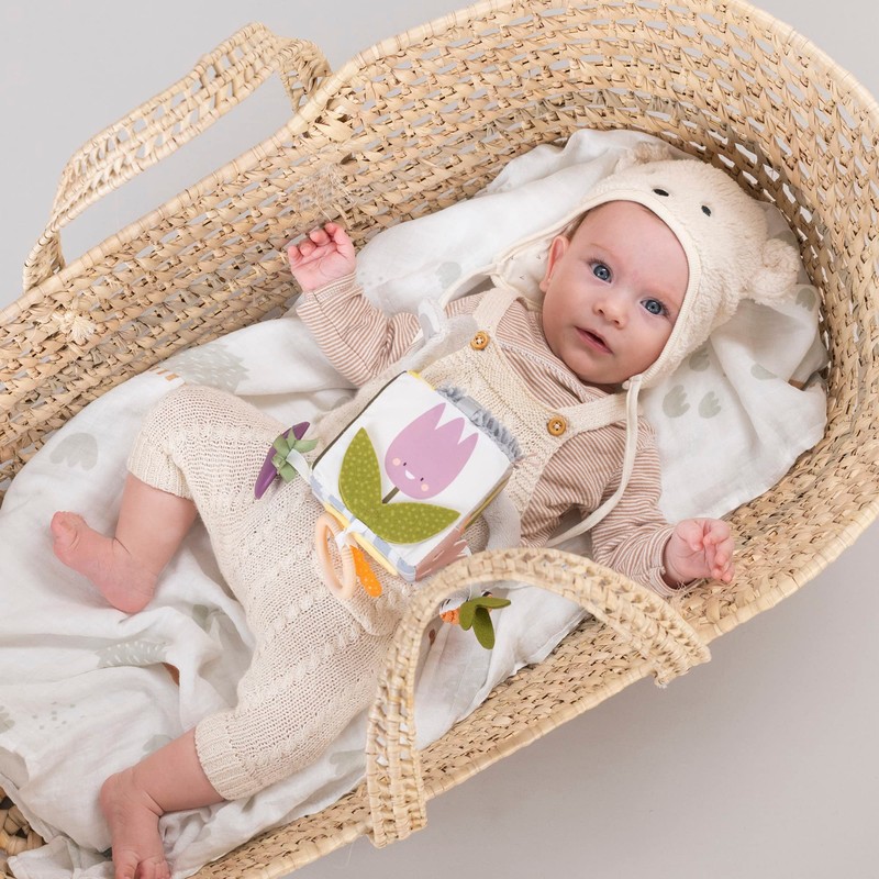 Taf Toys Cubo DE Actividades Urban Garden