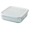 Iwaki Pack & Range Container