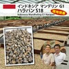 Matsuya Coffee Raw Beans Trial Tasting Pack (3.5 oz (100