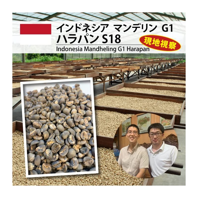 Matsuya Coffee Raw Beans Trial Tasting Pack (3.5 oz (100