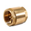 2 Inch Brass Check Valve with Female Thread, DN50 Backflow
