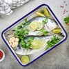 Axigundaone 2 Pcs White Enamel Butcher Tray, Rectangular Baking Pans,