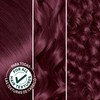 Garnier Hair Color Nutrisse Nourishing Creme, 42 Deep Burgundy (Black