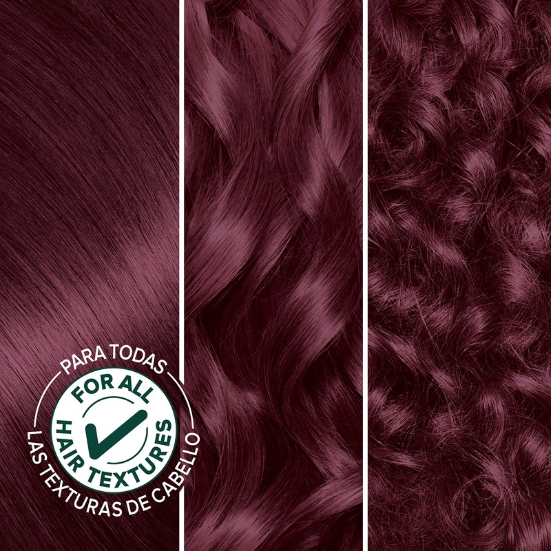 Garnier Hair Color Nutrisse Nourishing Creme, 42 Deep Burgundy (Black