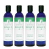 Master Massage Refreshing Blend Aromatherapy Oil Refresh Your Spirits 8oz