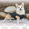 RUIFAR IVDD Back Brace for Dogs, Flexible Pet Dachshund Back