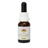 Boab 15 ml Stockbottle Australian Bush Flower Essences