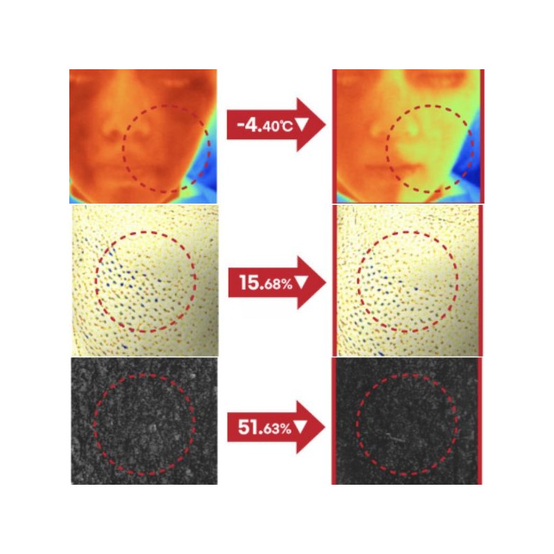 ROUND LAB Camellia Deep Collagen Firming Sun Serum 50ml