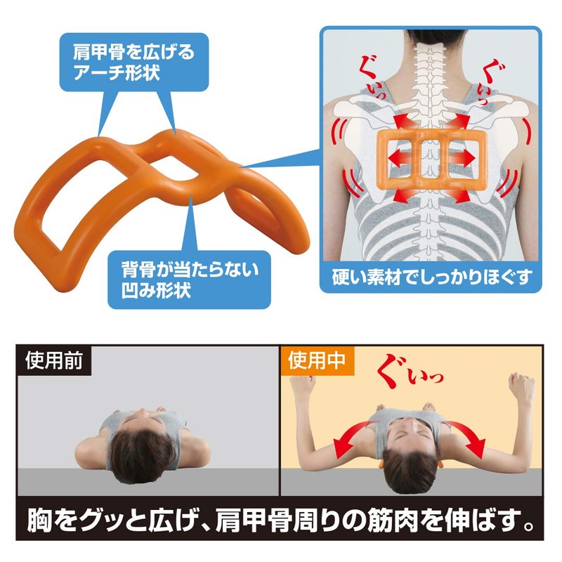 Cyprus Shoulder Stretch, Arch Shape that Widens Shoulder Blades, Stretches