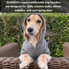 DJANGO Fully Lined Hoodie for Dog - Soft, Stretchy, and Cozy Sweatshirts for Dogs - Heather Grey Winter Dog Sweaters for Dachshunds and Small Dogs - Warm Dog Hoodie Small with Elastic Waistband