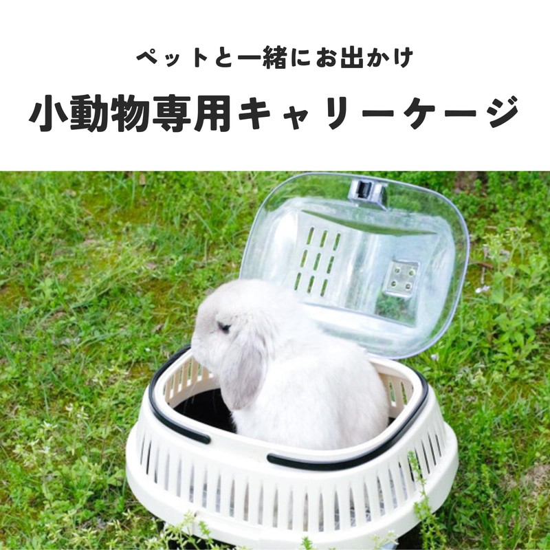 DIZLAS Small Animal Carry Outing Cage Cat Dog Hamster Pet