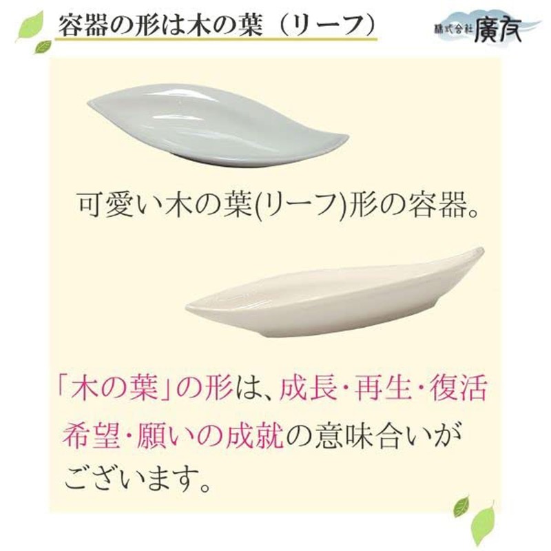 Charcoal Interior Feng Shui Charcoal with Saucer for Purification Amulet