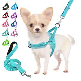 Eyein Dog Harness with Lead for Small, Medium Dogs, No-Pull Adjustable Chest Harness with 2 Lead Clips, Reflective & Lightweight Harness with Soft Padded (Teal, XS)