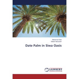 Date Palm in Siwa Oasis