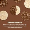 Lieber's Brittle Topped Milk Chocolate Covered Rice Cakes, 3.7 oz
