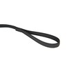 Color & Gray Super-Grip Leash with Handle, 20 mm x