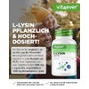 Vit4ever® L-Lysine 2000 - 350 Tablets - 2000 mg per