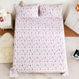 LONAVA Queen Sheet Set Kids - Ballet 4 Pieces Soft Cute Microfiber Bed Sheet for Boy Girls Teens, Oeko Texted Breathable Cooling Fabric & Deep Pocket Full Elastic Sheets