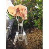 Celaflor Vole Trap, Vole Pliers Trap, Proven Galvanised Steel Pliers