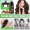 Shampoo Tinte Instantaneo Cubre Canas Extracto Plantas 500ml
