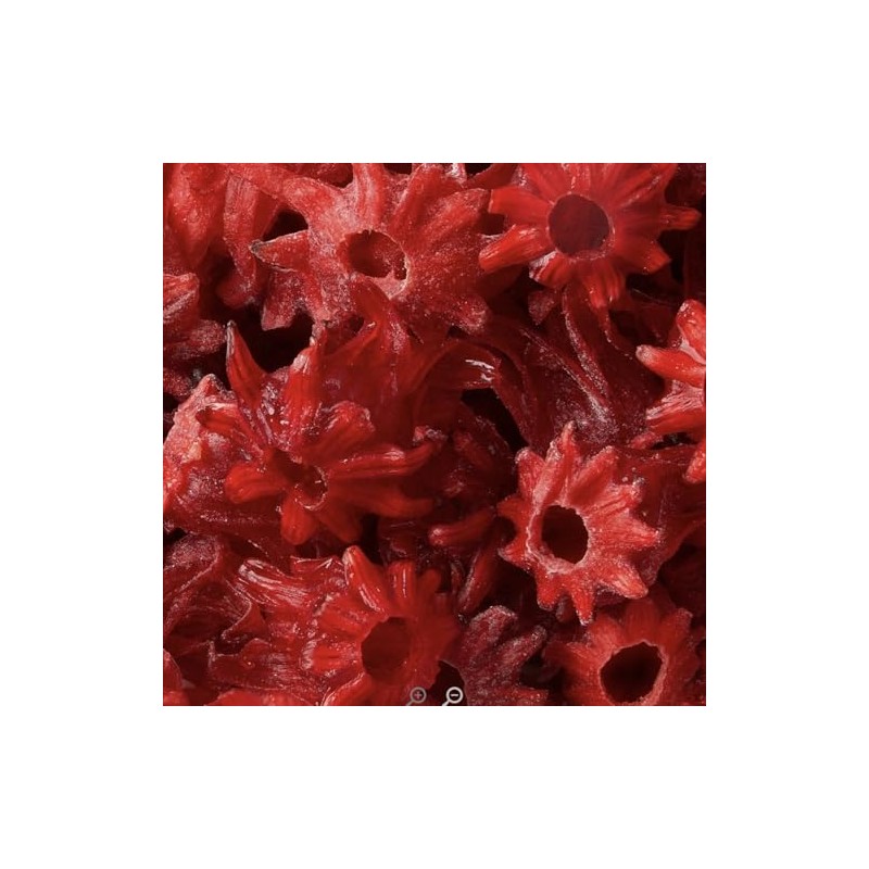 US Snacks Candied Dried Hibiscus Flowers, Dehydrated Hibiscus Bite Snack,