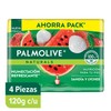 BS PO Naturals Watermelon w Lychee 4x120gr