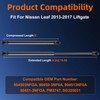 Euplokeer Trunk Hatch Liftgate Strut Shock for 2013-2017 Nissan Leaf