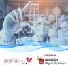 Granatum Plus | Pomegranate Extract + Olive Extract | Pomegranate