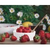 Palais Essentials Farmhouse Decor Porcelain Mini Dipping Bowls Sauce Dishes