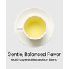 EZR Leaf Mint & Chamomile Herbal Tea 20 Pyramid Tea