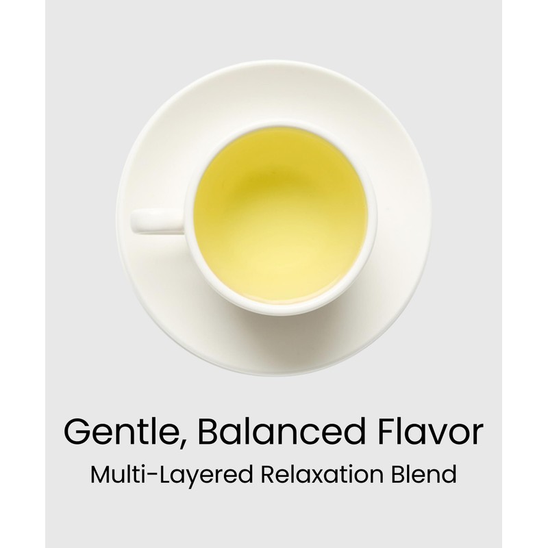 EZR Leaf Mint & Chamomile Herbal Tea 20 Pyramid Tea