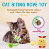 Andiker Catnip Toys, Cat Interactive Toys with Silvervine Fruit &