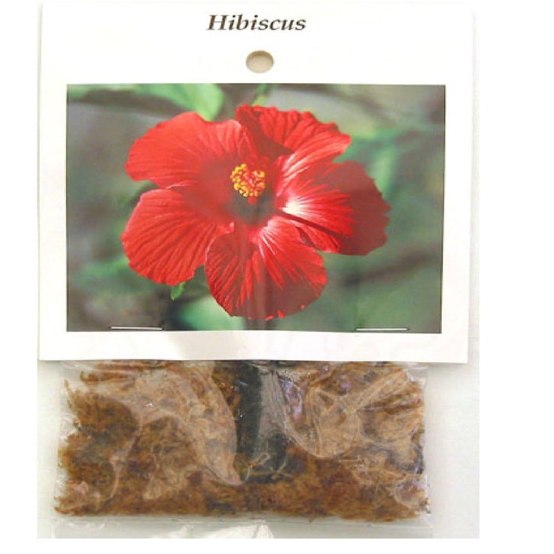 Red Hibiscus From Hawaii 2 Pack