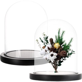 ZOOFOX Set of 2 Glass Dome Cloche with Black Wooden Base, 5.7" x 6.5" Decorative Bell Jar Display Dome for Plants, Fairy Lights, Photos, Succulents and Medals