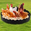 Chicken Dust Bath Tub 36'' Dia x 5.5'' H Bottomless