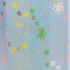 Pet Urn Cover, Hexagonal Bag, 2.5 Size, Meteor (Meteor), Star