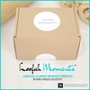 Loofah Moments Loofah Sponge, Plastic-Free & Unbleached, Natural Sponge Made