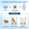 HYLUFUL Hydrogen Water Bottle Generator, 1500PPB Hydrogen Water Generator with