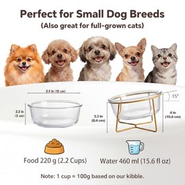 Cuenco pequeño de cristal inclinado elevado para gatos y perros con soporte de hierro dorado