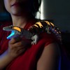 Mivi Collection Articulated Glow in The Dark Skink Lizard –