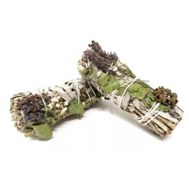 1x White Sage, Lavender & Eucalyptus Dollar Sage 4"  (1 PACK)