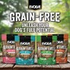 Evolve Grain Free Duck, Pea and Blueberry Jerky Bites Dog