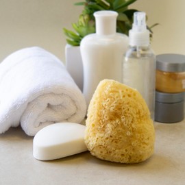 Neptune Natural Caribbean Sea Sponge - All Natural Renewable Sea Sponge (4 inch)