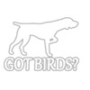 German Shorthair Pointer Got Birds TP 1332 Vinyl 6" Decal