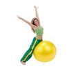 Gymnic Classic Plus Burst-Resistant Exercise Ball, Yellow (75 cm)