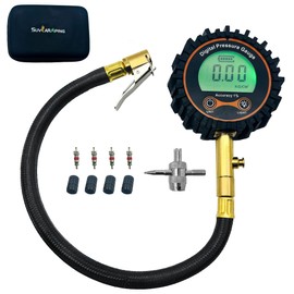 Accuracy± 1 Psi Tire Gauge for Cars and Trucks, Pressure Car Accessories (0-250psi-green)