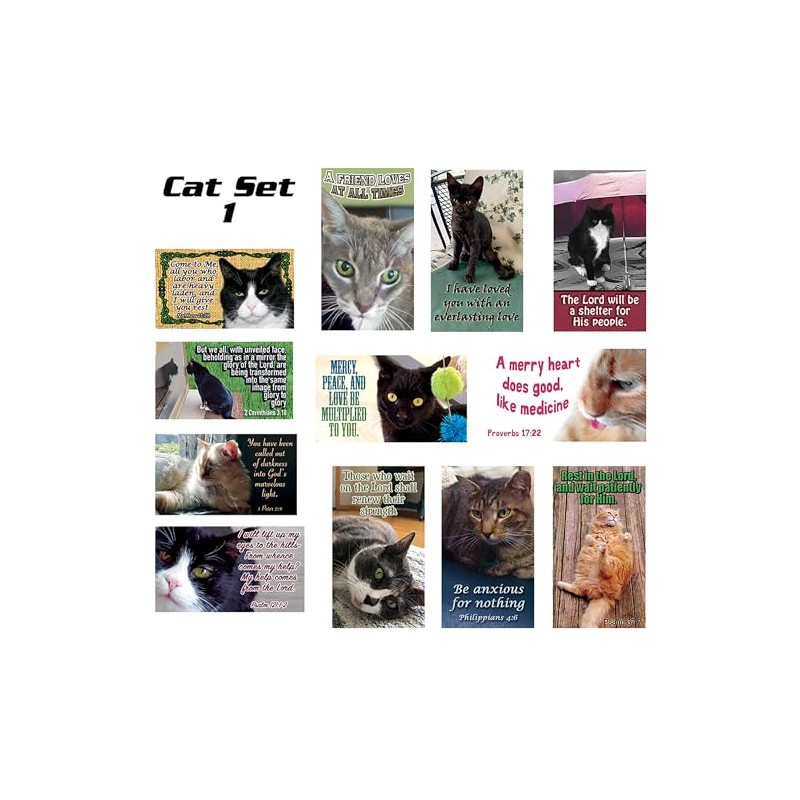 Pet Pass Alongs Scripture Cards Set of 24, 12 unique