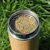 Gaucho Bruno Bamboo Bottle Tea Infuser Vacuum Flask